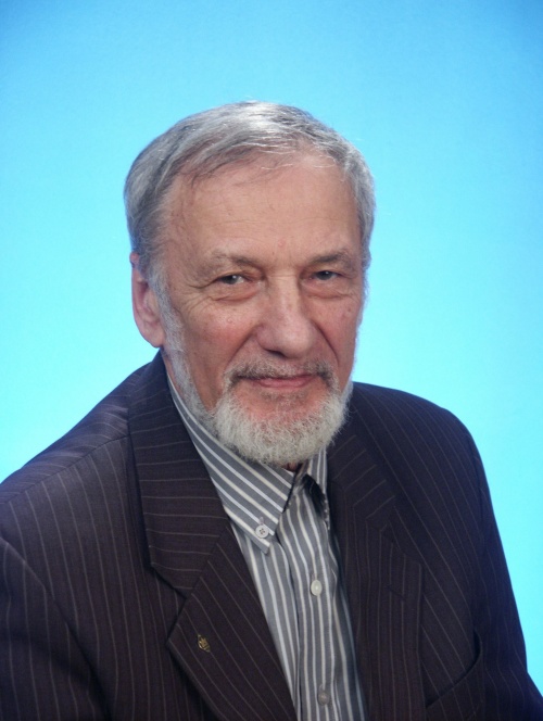 Rozin Vadim M.